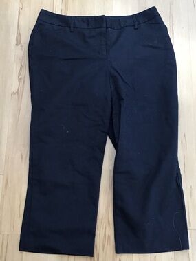 Rafaella Curvy Classic Navy Blue Women's Tailored Dress Capri Pants Sz 10